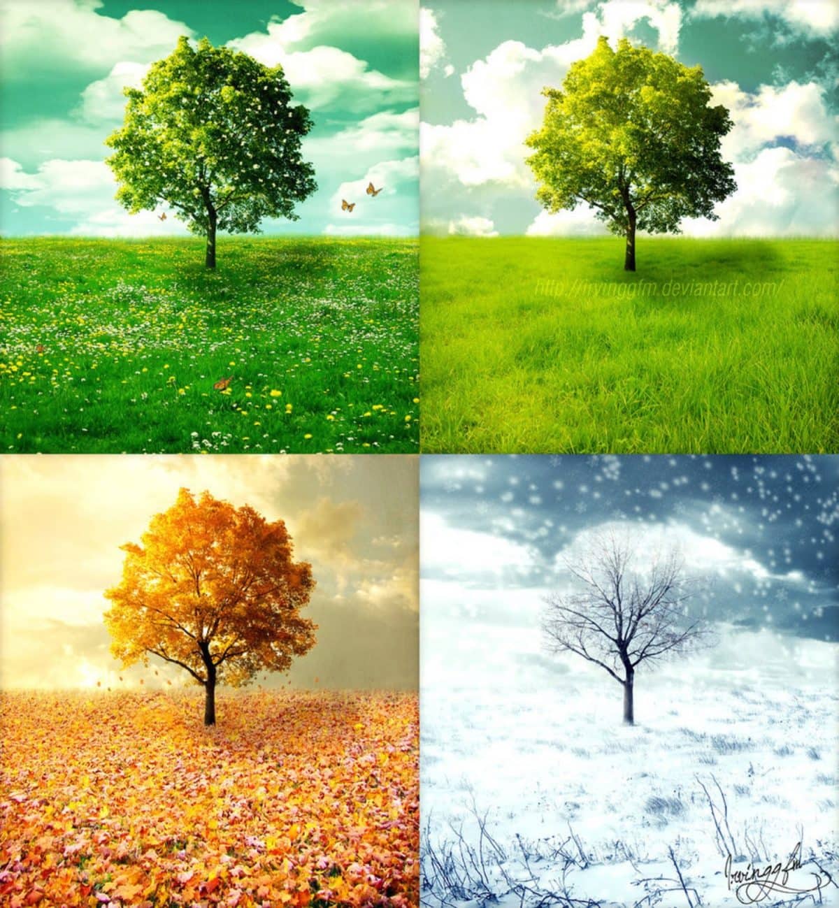 the-four-seasons_Katie-Horton-and-artists-copy-v2-1200x1299.jpeg