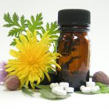 ayurveda homeopathy