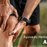 Ayurvedic Herbs for Arthritis